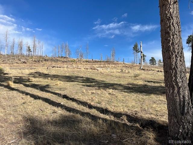 Lot 1020 & 1021 Hassan Lane Fort Garland CO 81133