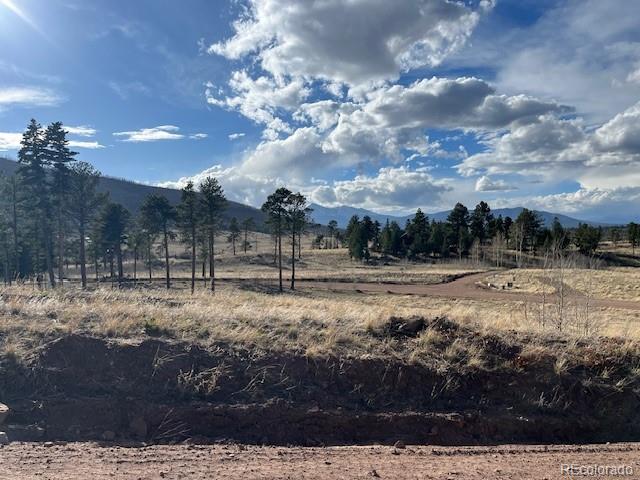 Lot 1020 & 1021 Hassan Lane Fort Garland CO 81133