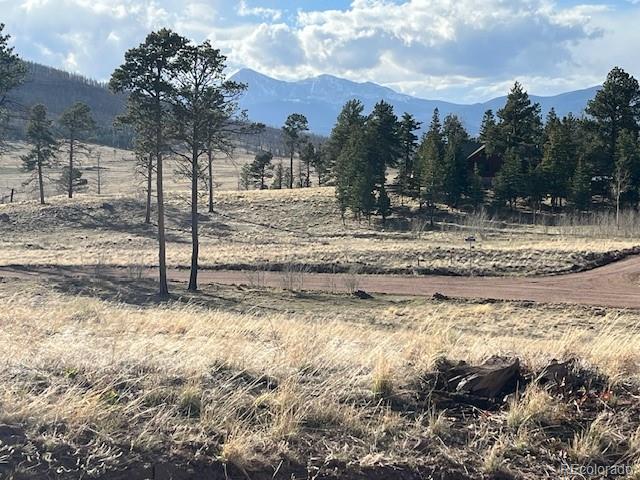 Lot 1020 & 1021 Hassan Lane Fort Garland CO 81133