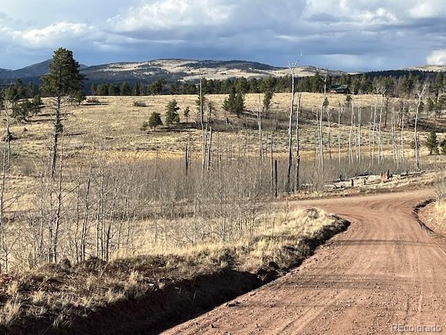 Lot 1020 & 1021 Hassan Lane Fort Garland CO 81133