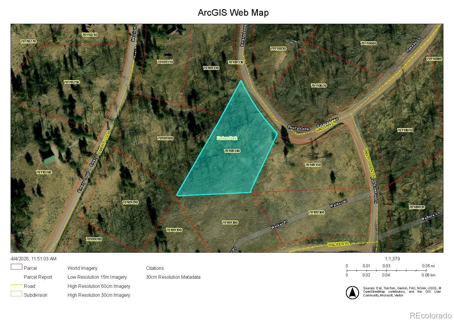 Lot 1020 & 1021 Hassan Lane Fort Garland CO 81133