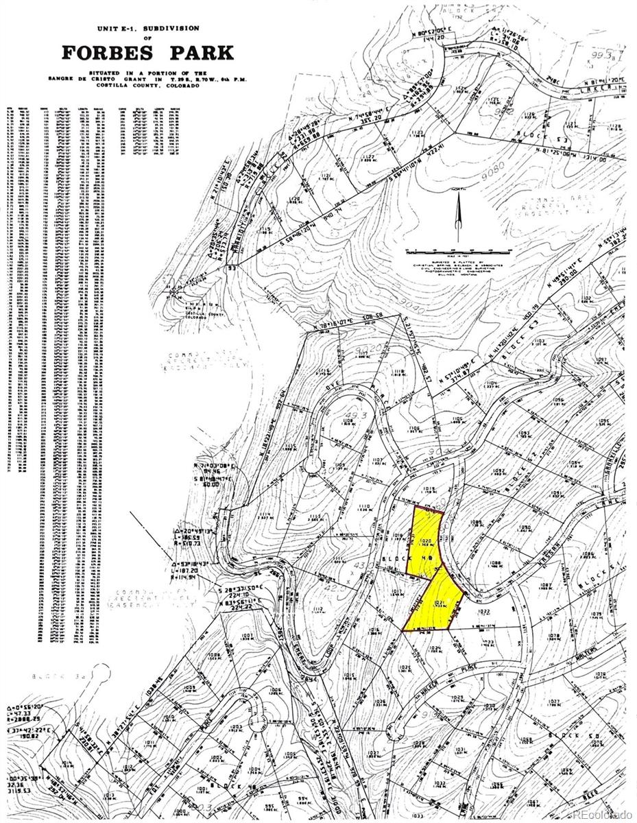 Lot 1020 & 1021 Hassan Lane Fort Garland CO 81133