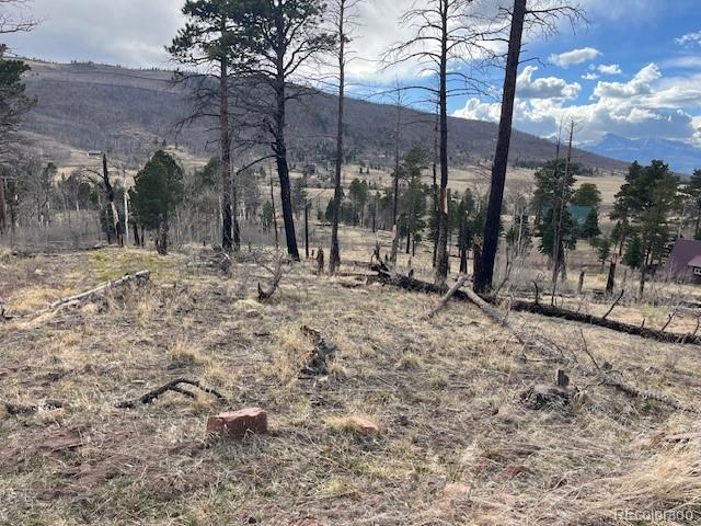 Lot 1020 & 1021 Hassan Lane Fort Garland CO 81133