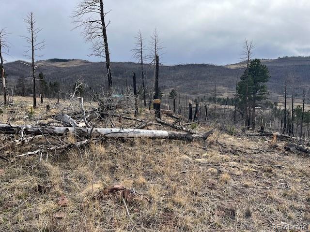 Lot 1020 & 1021 Hassan Lane Fort Garland CO 81133