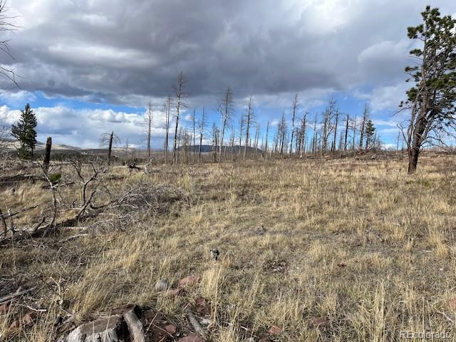 Lot 1020 & 1021 Hassan Lane Fort Garland CO 81133