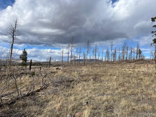 Lot 1020 & 1021 Hassan Lane Fort Garland CO 81133