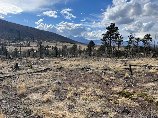 Lot 1020 & 1021 Hassan Lane Fort Garland CO 81133