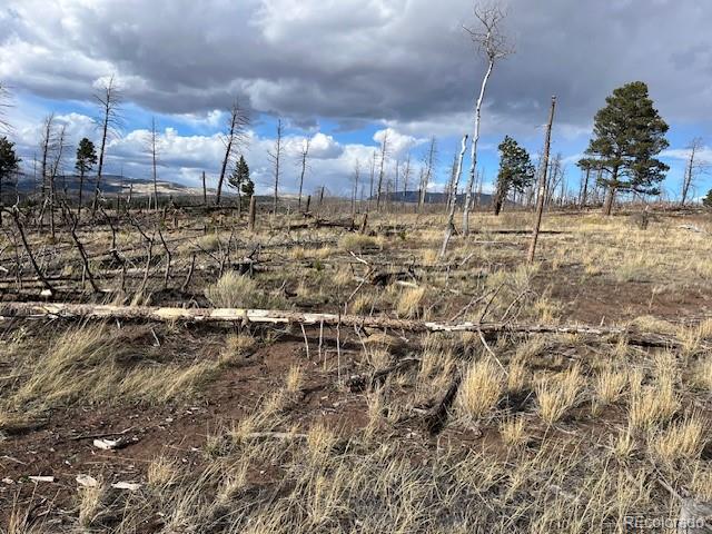 Lot 1020 & 1021 Hassan Lane Fort Garland CO 81133
