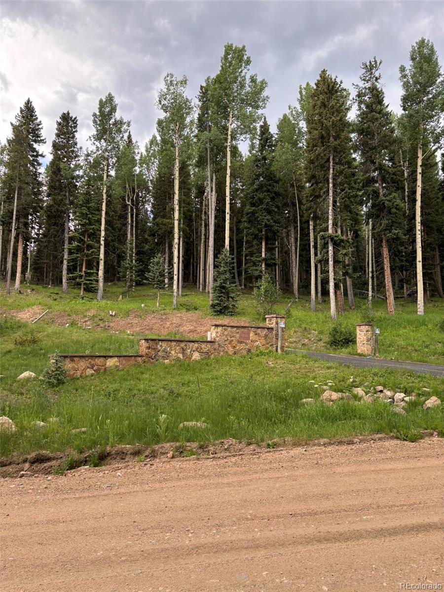 28651 Belle Point Drive Conifer CO 80433