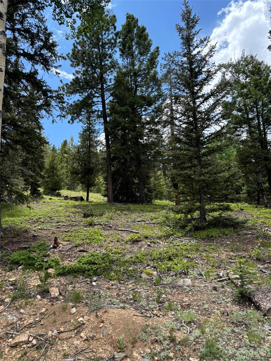 28651 Belle Point Drive Conifer CO 80433