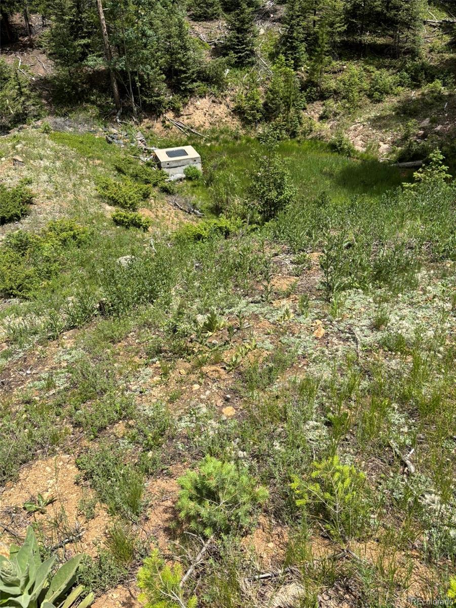 28651 Belle Point Drive Conifer CO 80433