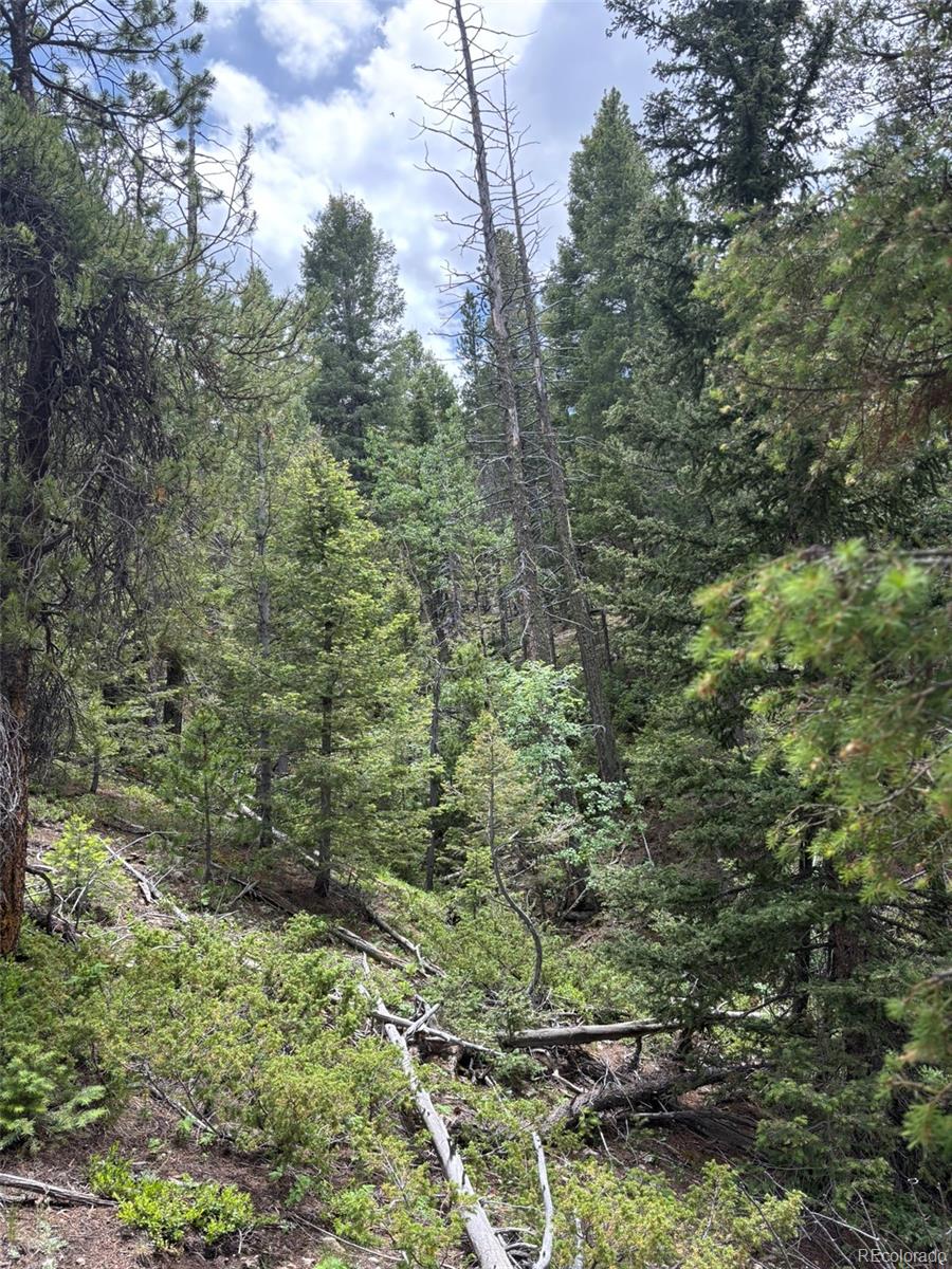 28651 Belle Point Drive Conifer CO 80433