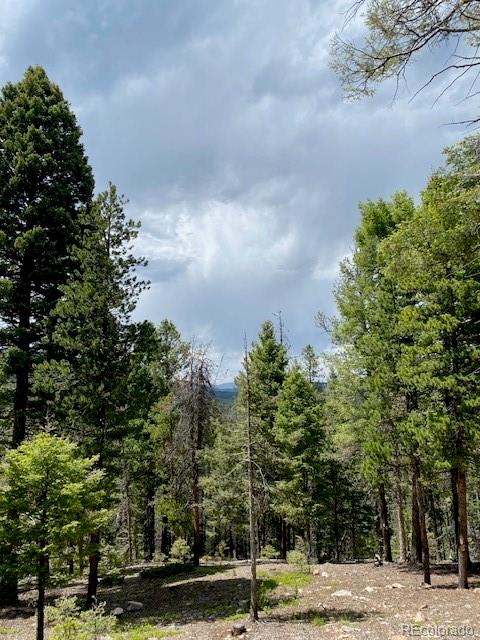 28651 Belle Point Drive Conifer CO 80433