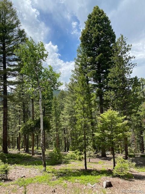 28651 Belle Point Drive Conifer CO 80433