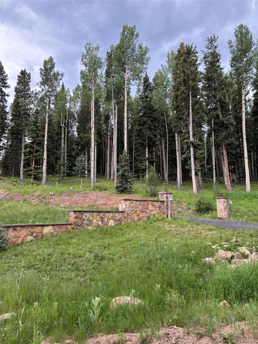 28651 Belle Point Drive Conifer CO 80433