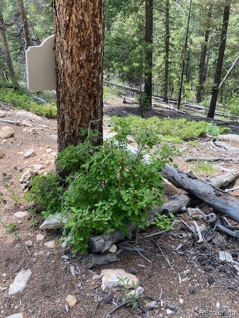 28651 Belle Point Drive Conifer CO 80433