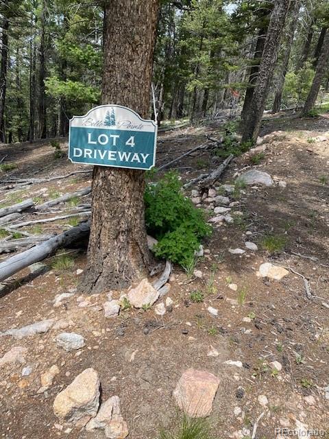28651 Belle Point Drive Conifer CO 80433