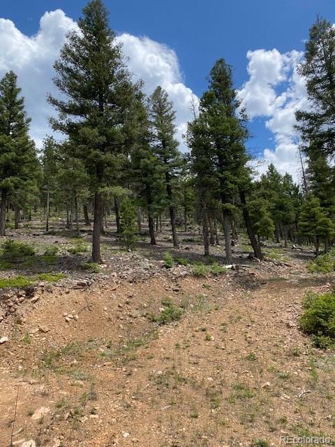 28651 Belle Point Drive Conifer CO 80433