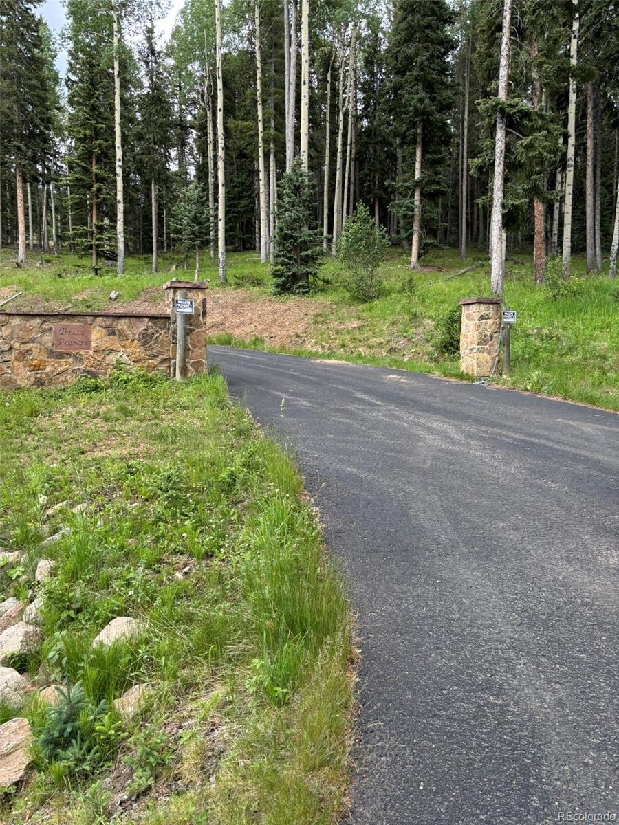 28651 Belle Point Drive Conifer CO 80433