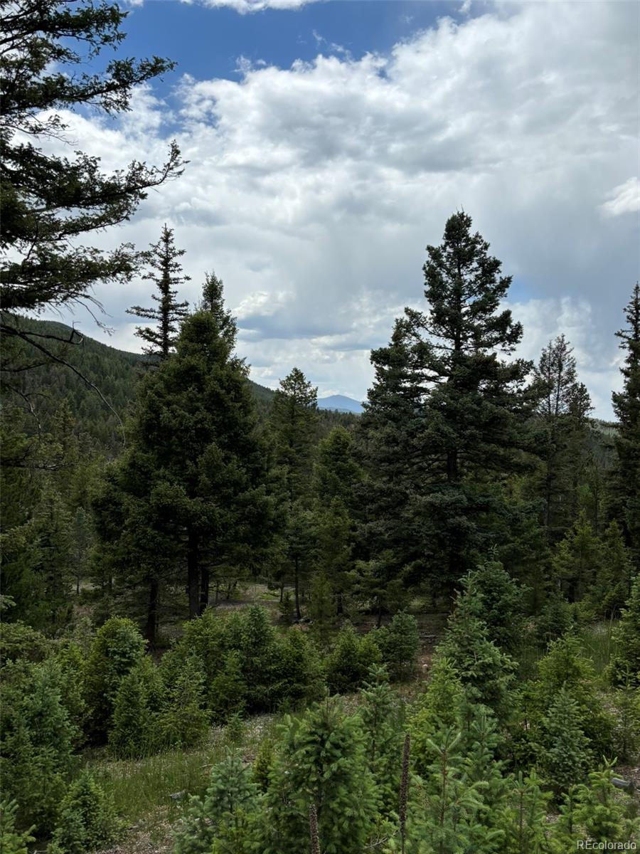 28651 Belle Point Drive Conifer CO 80433
