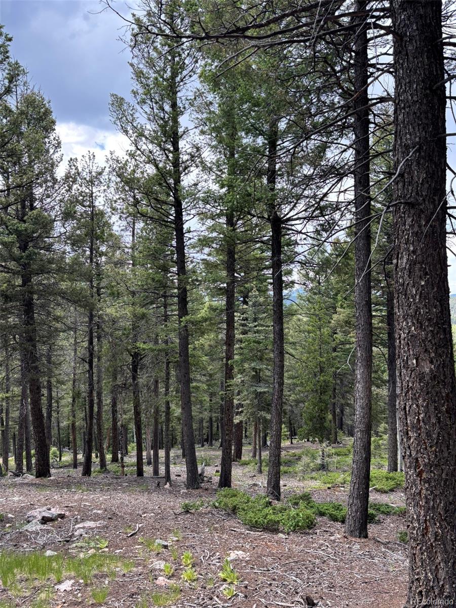 28651 Belle Point Drive Conifer CO 80433