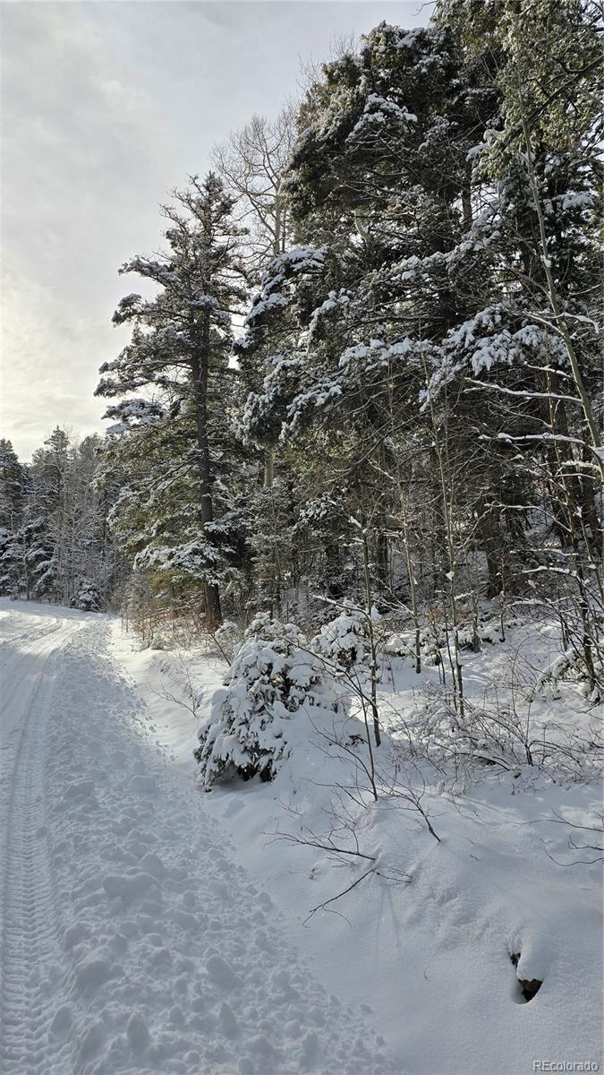 Lot 5540 Joy Road Fort Garland CO 81133
