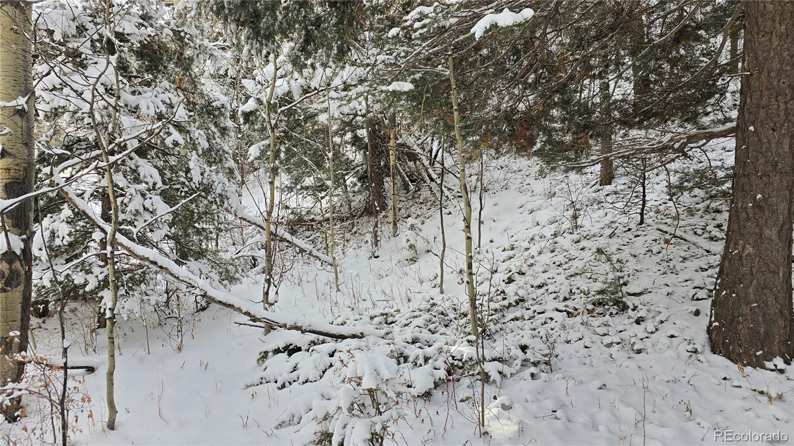 Lot 5540 Joy Road Fort Garland CO 81133