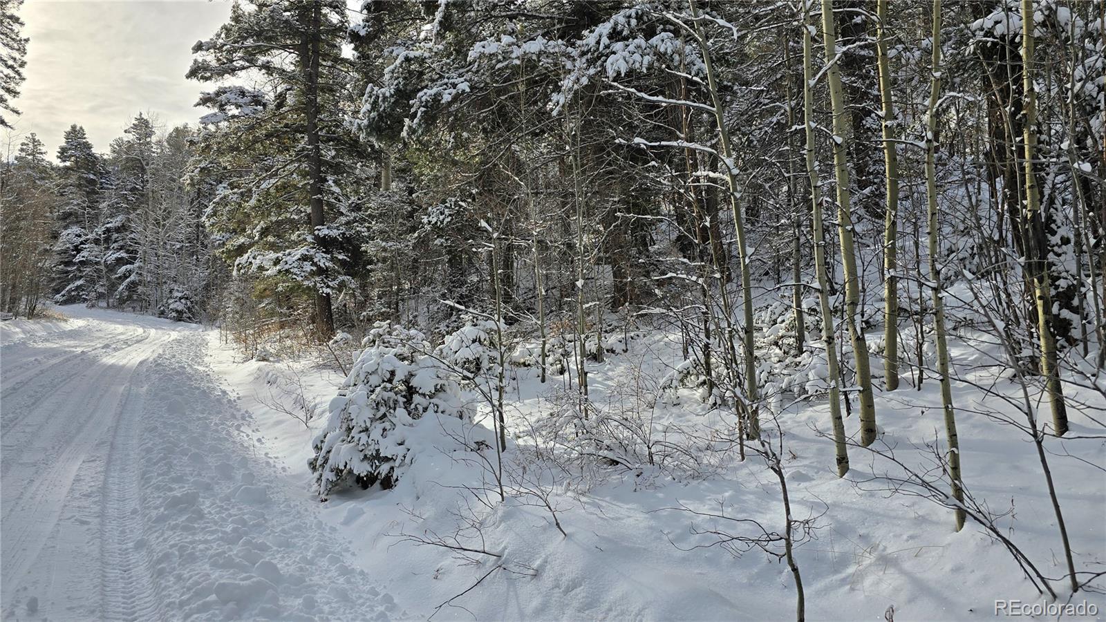 Lot 5540 Joy Road Fort Garland CO 81133