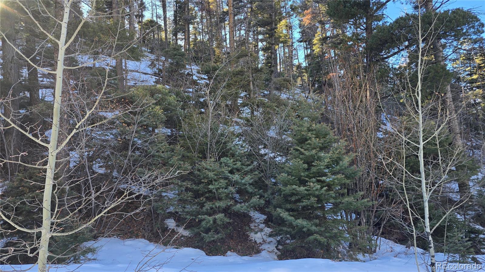 Lot 5540 Joy Road Fort Garland CO 81133