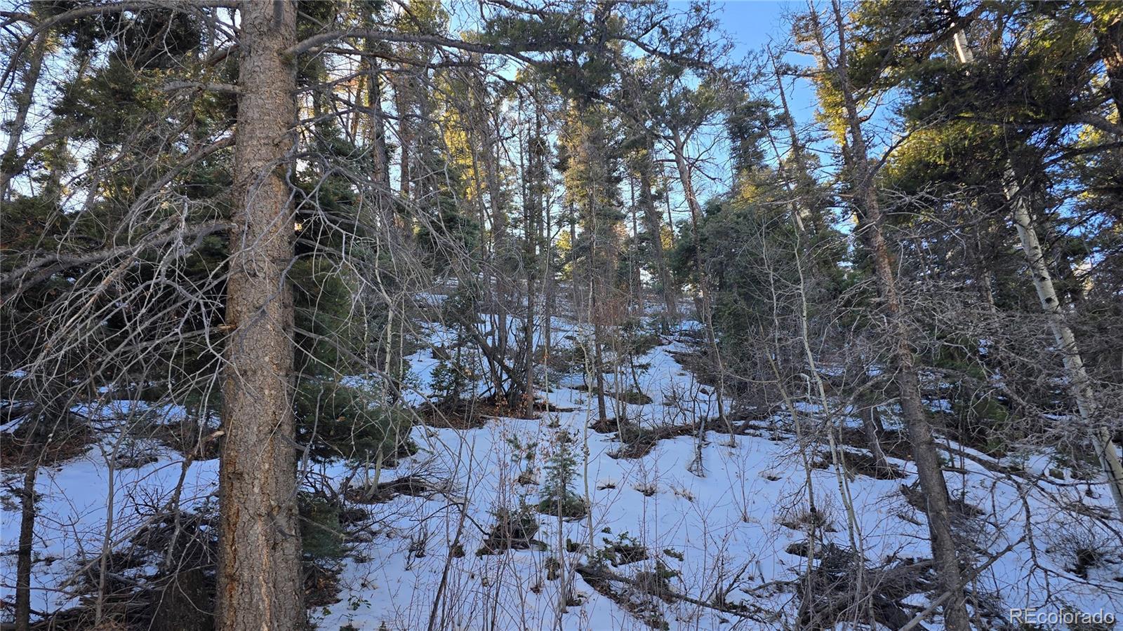 Lot 5540 Joy Road Fort Garland CO 81133