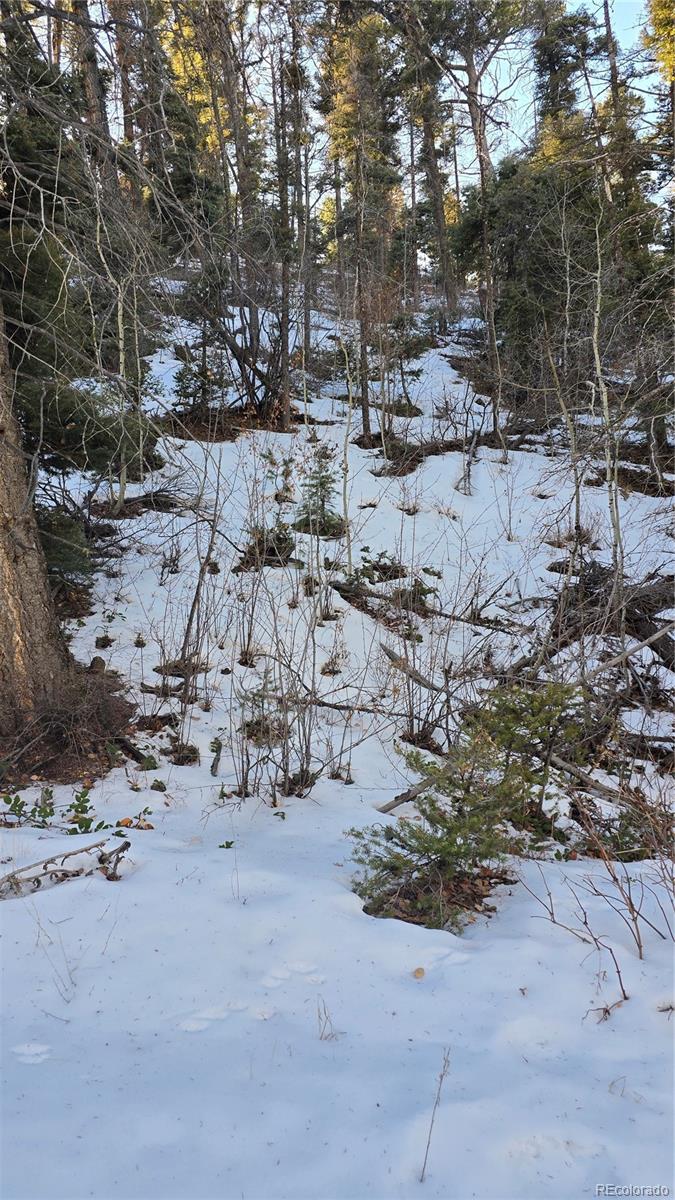 Lot 5540 Joy Road Fort Garland CO 81133