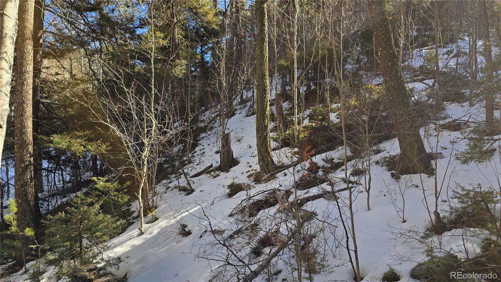 Lot 5540 Joy Road Fort Garland CO 81133