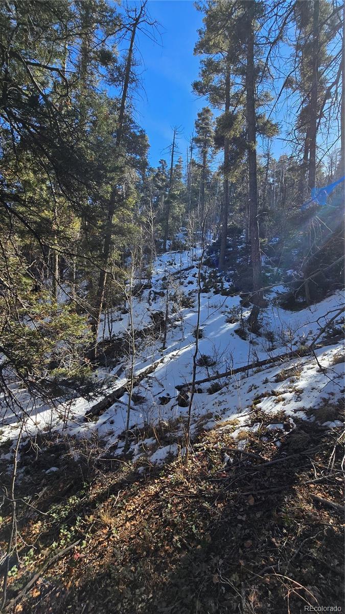 Lot 5540 Joy Road Fort Garland CO 81133