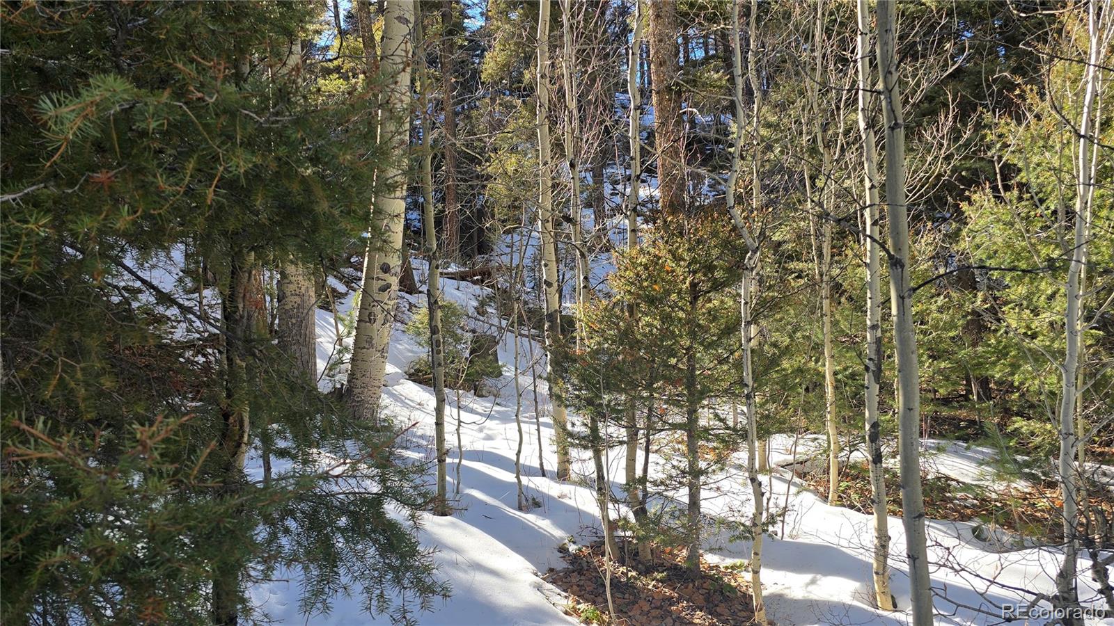 Lot 5540 Joy Road Fort Garland CO 81133