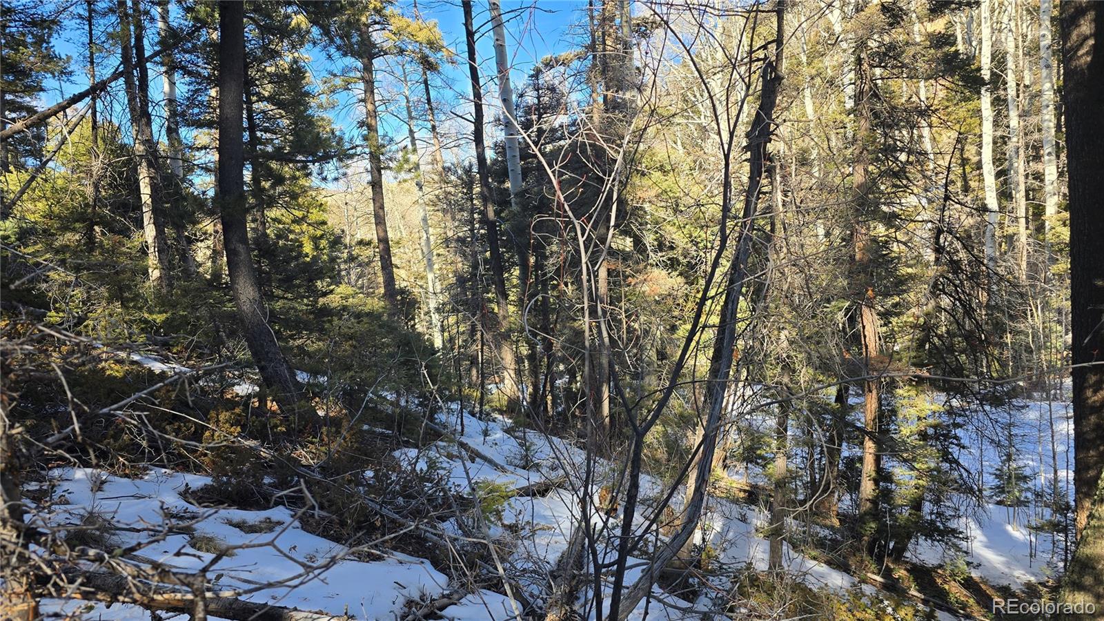 Lot 5540 Joy Road Fort Garland CO 81133