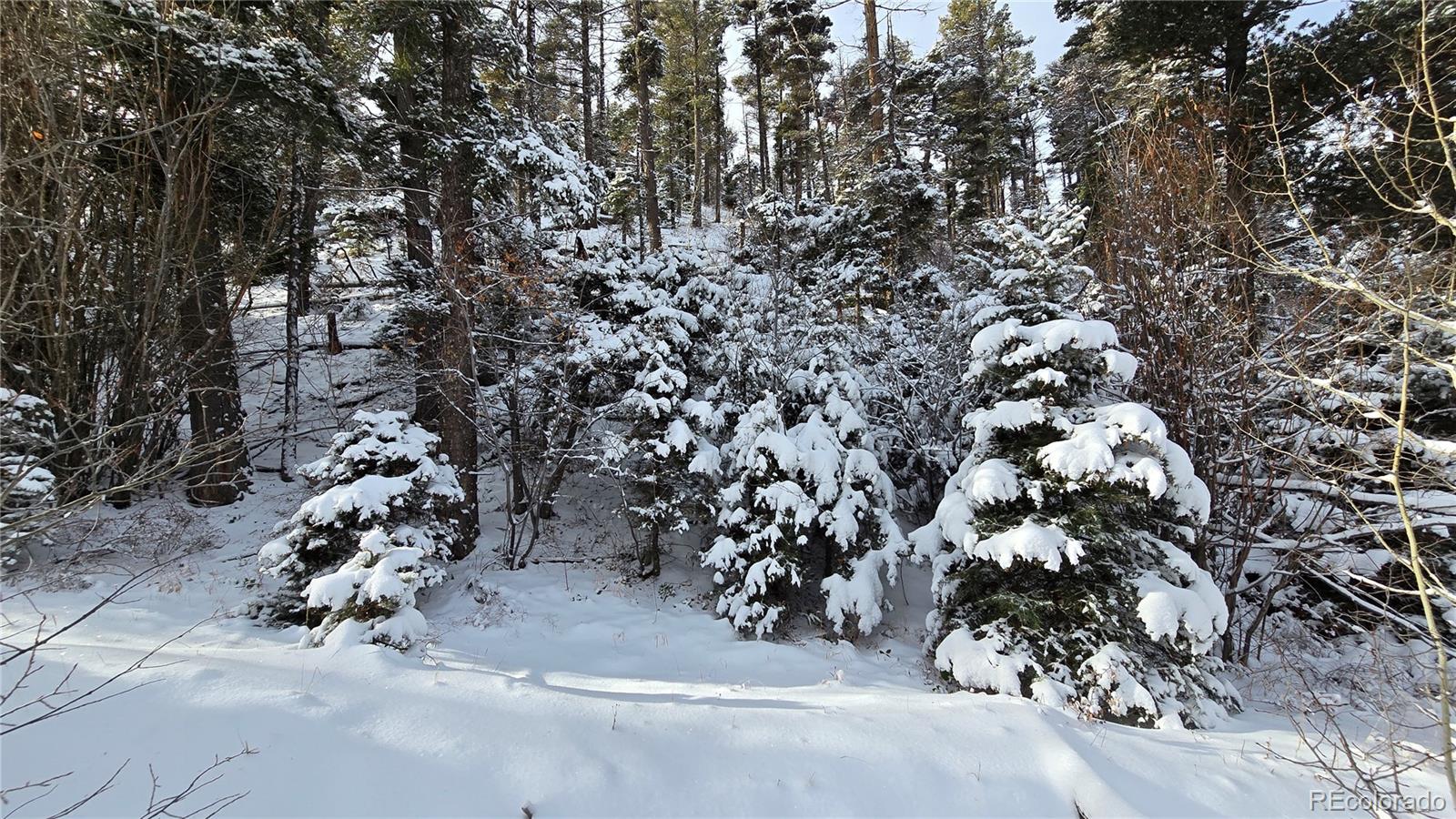 Lot 5540 Joy Road Fort Garland CO 81133
