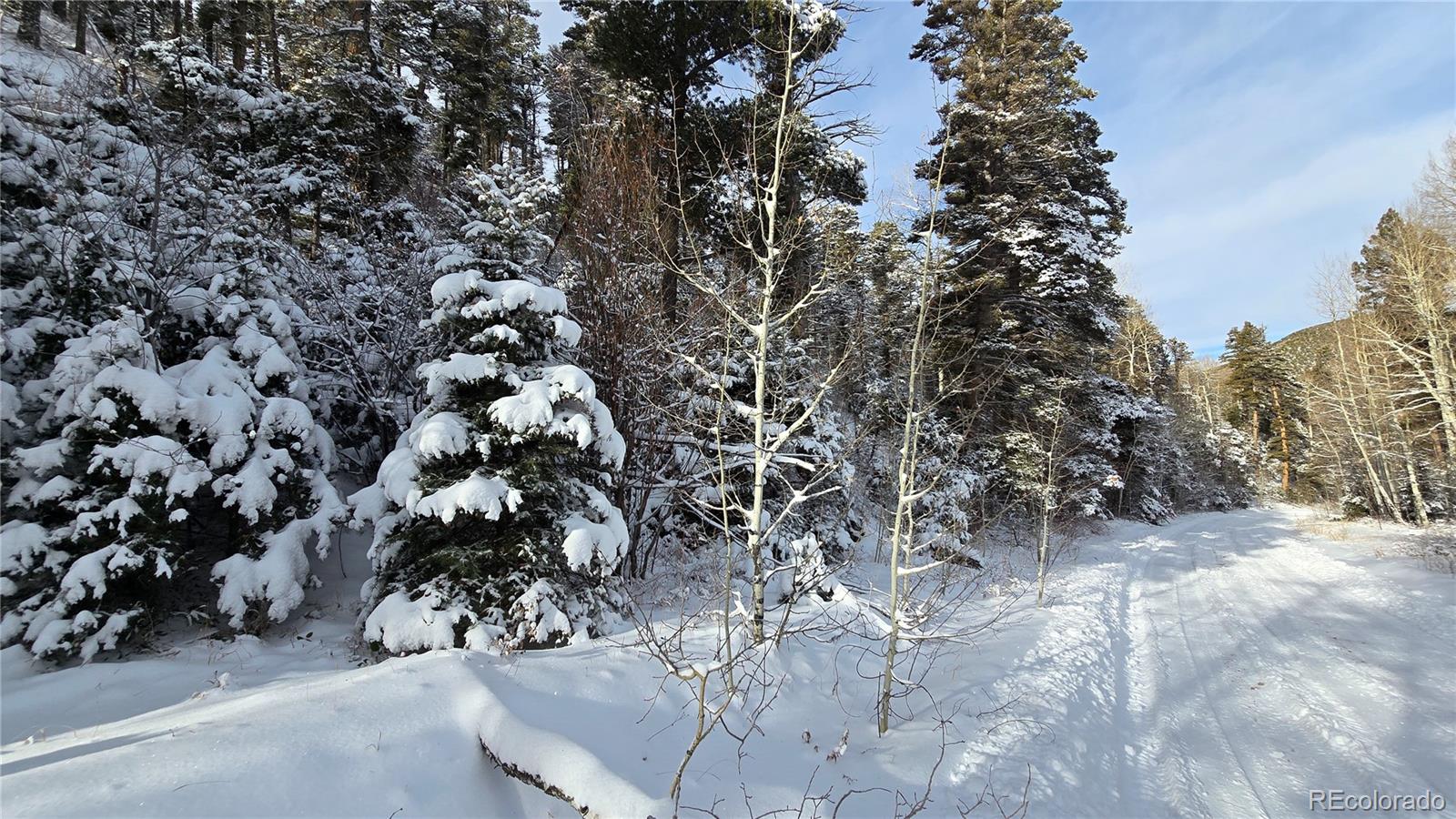 Lot 5540 Joy Road Fort Garland CO 81133