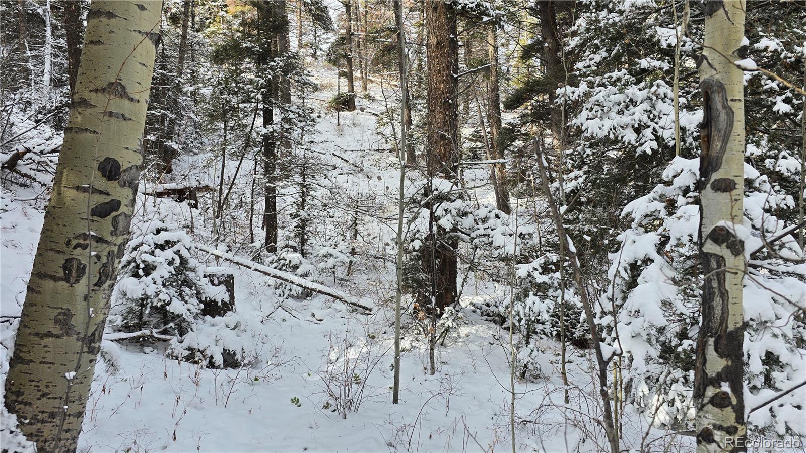 Lot 5540 Joy Road Fort Garland CO 81133