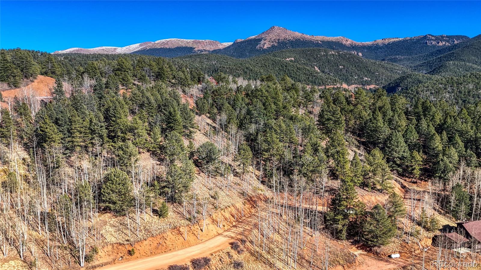 741 Pikes Peak Drive Divide CO 80814