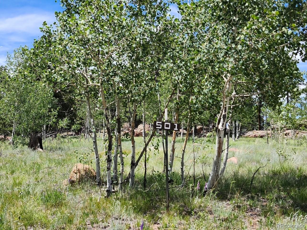 501 Cr-403 Florissant CO 80816
