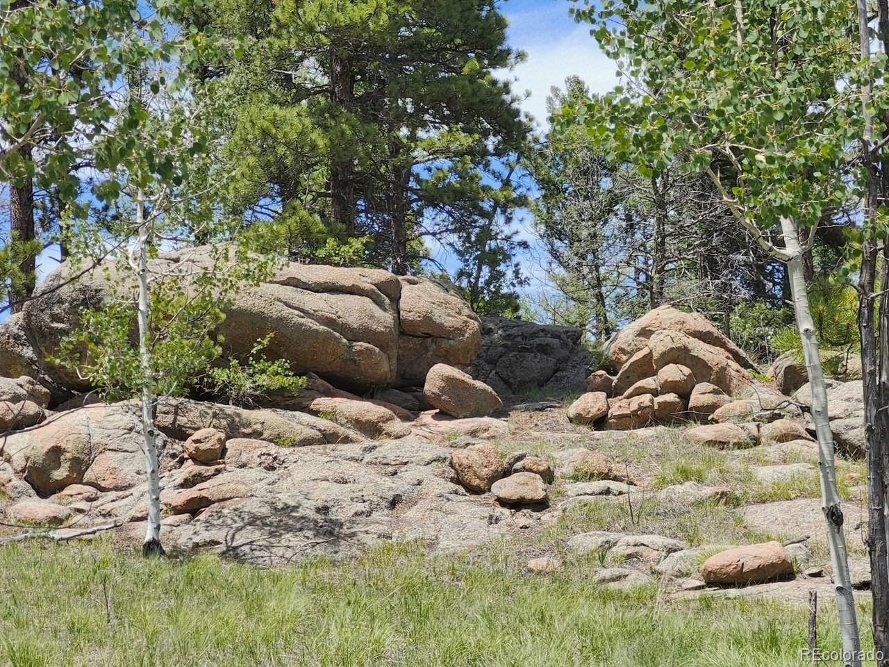 501 Cr-403 Florissant CO 80816