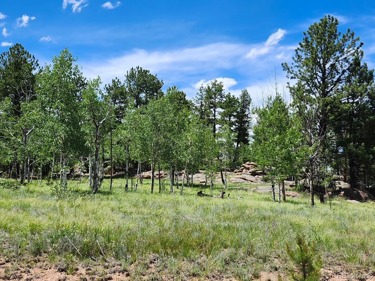501 Cr-403 Florissant CO 80816