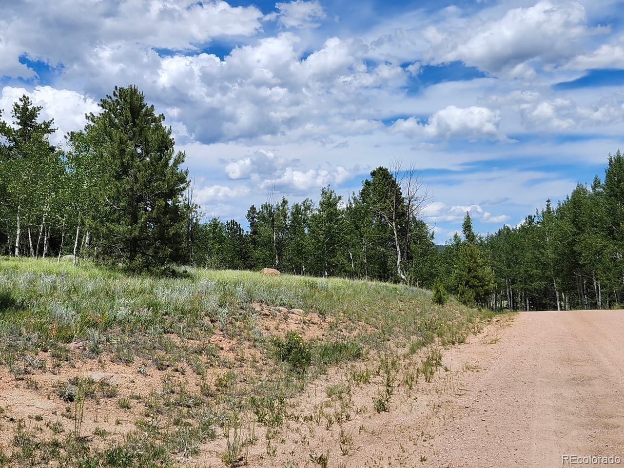 501 Cr-403 Florissant CO 80816