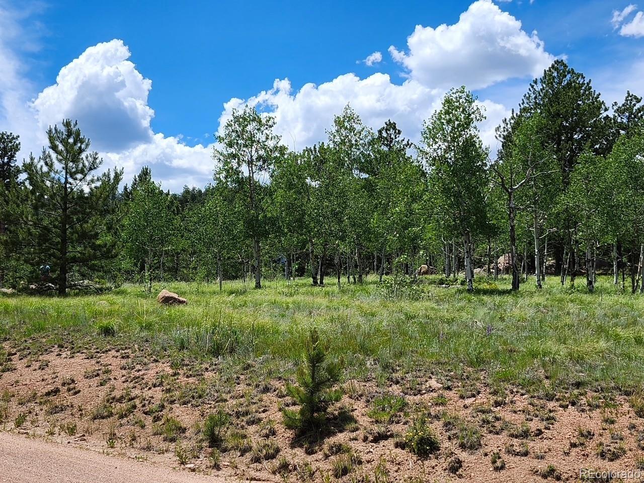 501 Cr-403 Florissant CO 80816