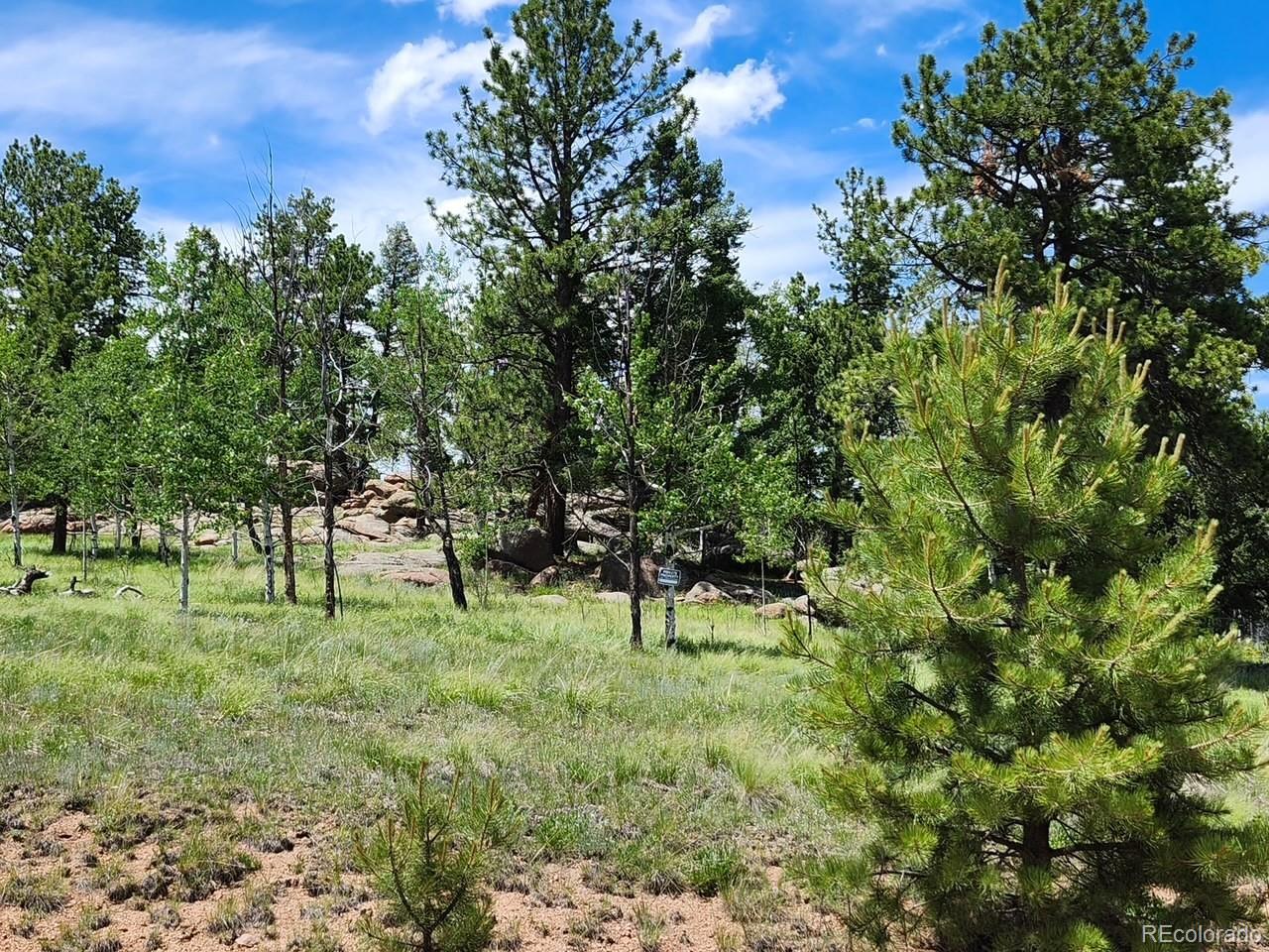 501 Cr-403 Florissant CO 80816