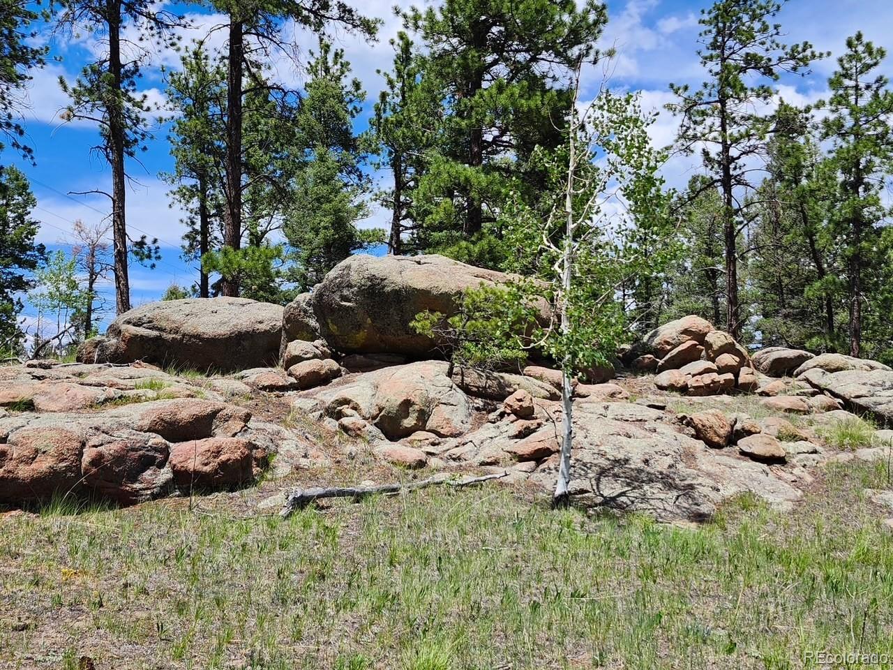 501 Cr-403 Florissant CO 80816