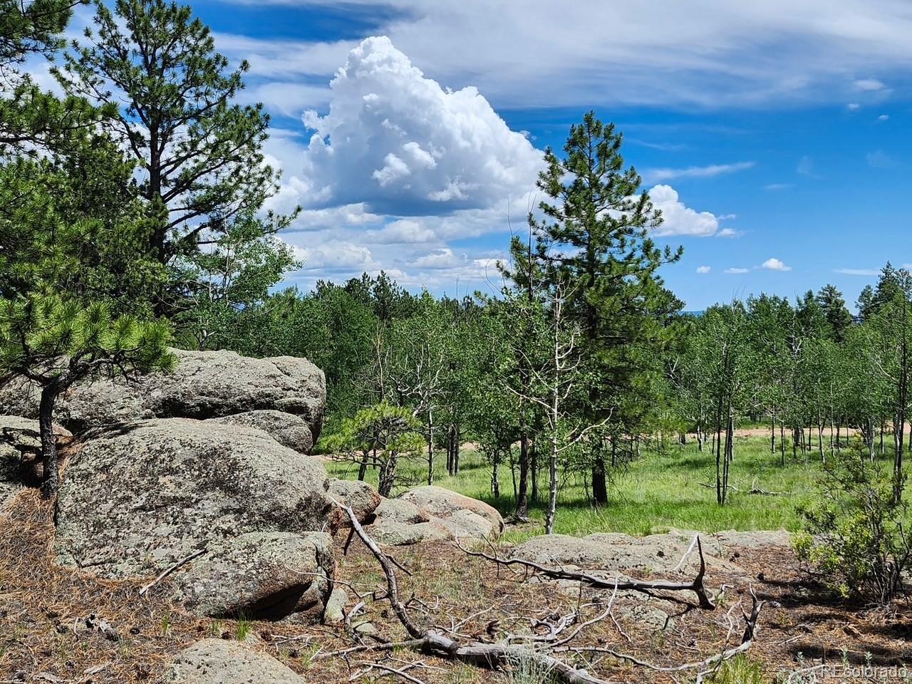 501 Cr-403 Florissant CO 80816