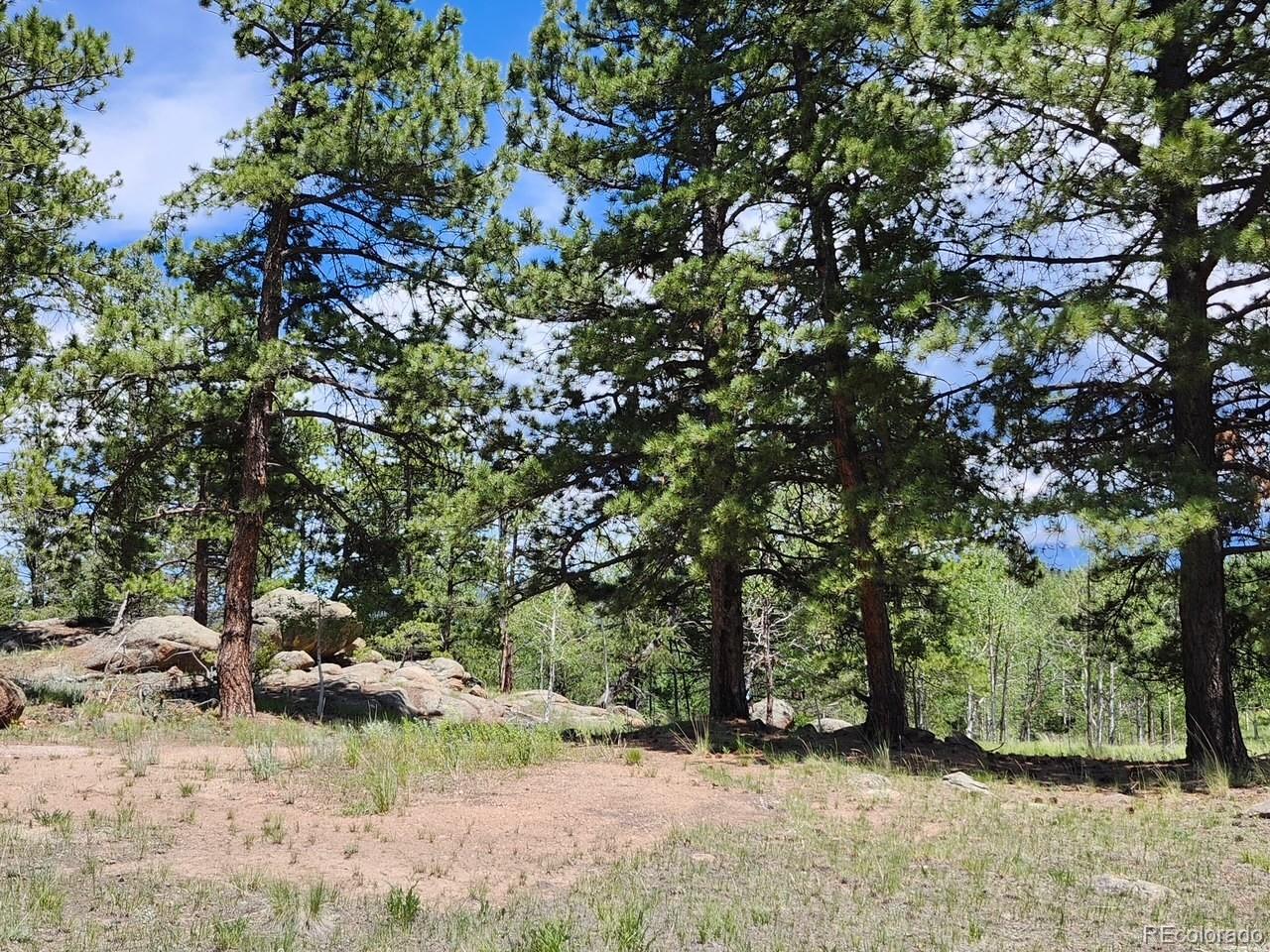 501 Cr-403 Florissant CO 80816