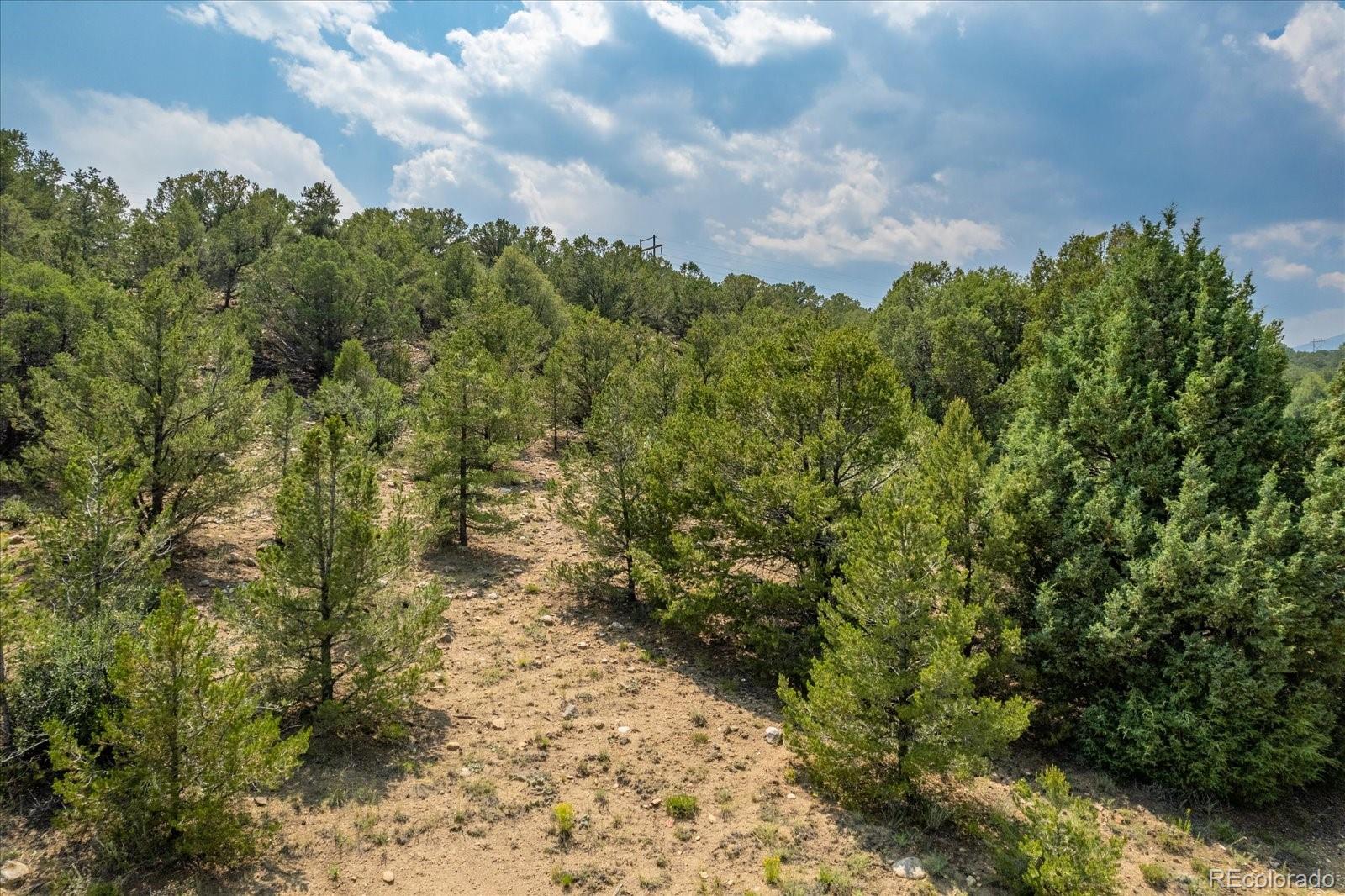 7925 Cozart Lane Salida CO 81201