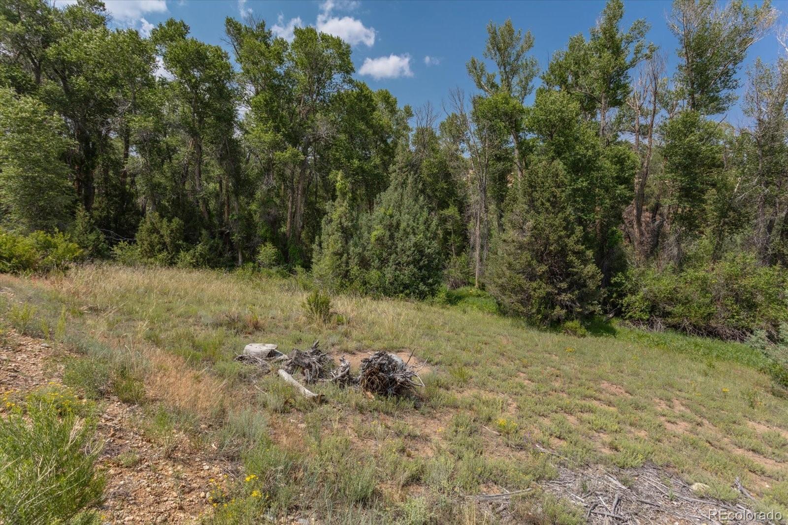 7925 Cozart Lane Salida CO 81201